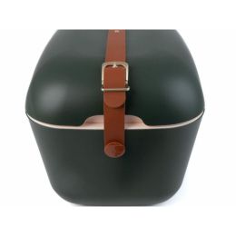 GREEN-FOREST-GOLD-HEBILLA-768x576-49125